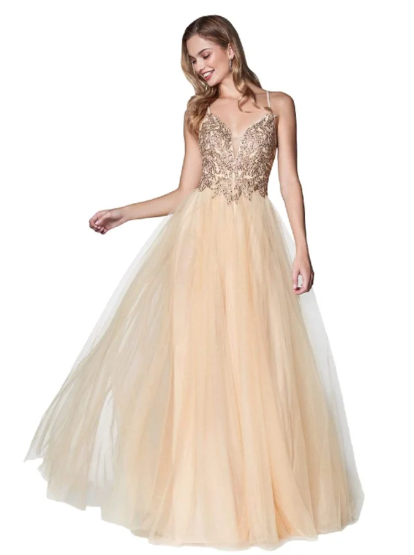 Ride The Style Wave Cinderella Divine - CD0128 Applique Detailed Bodice Tulle A-Line Gown